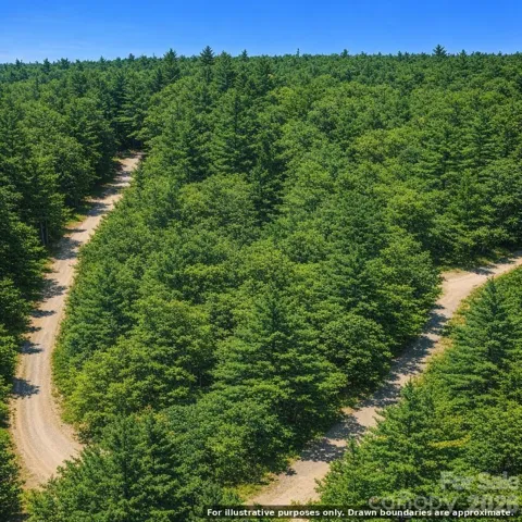 Lot 124 Trellis Drive