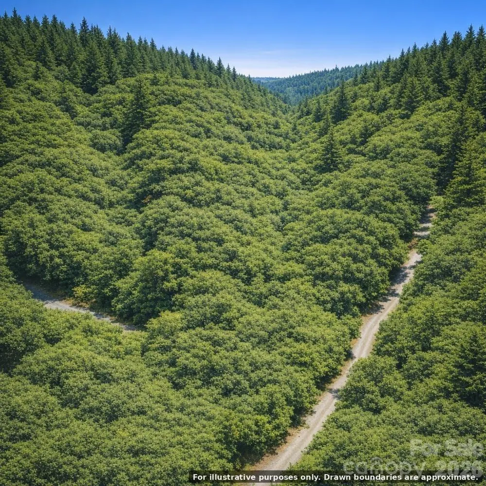 Lot 124 Trellis Drive Nebo, NC 28761