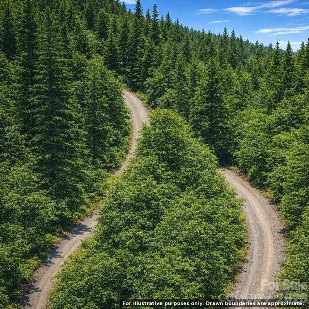 Lot 124 Trellis Drive Nebo, NC 28761