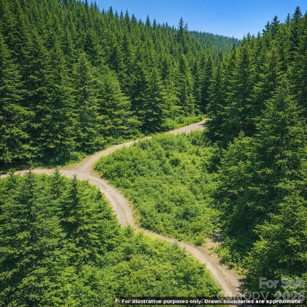 Lot 124 Trellis Drive Nebo, NC 28761