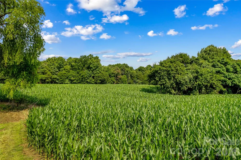 532 Rash Road Olin, NC 28660
