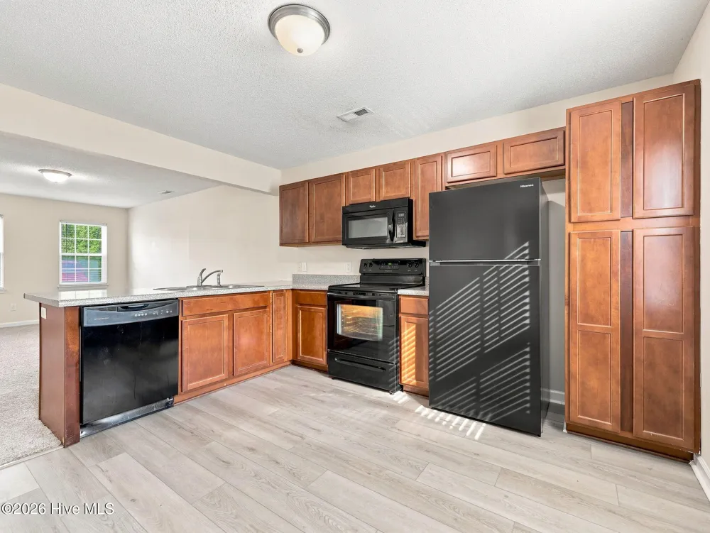 201 Lanieve Court #1 Hubert, NC 28539
