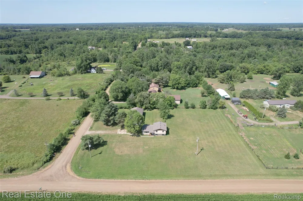 11028 Brimley Road Conway Township, MI 48892
