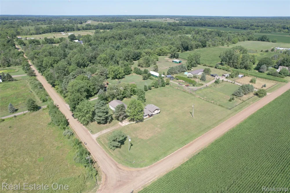 11028 Brimley Road Conway Township, MI 48892