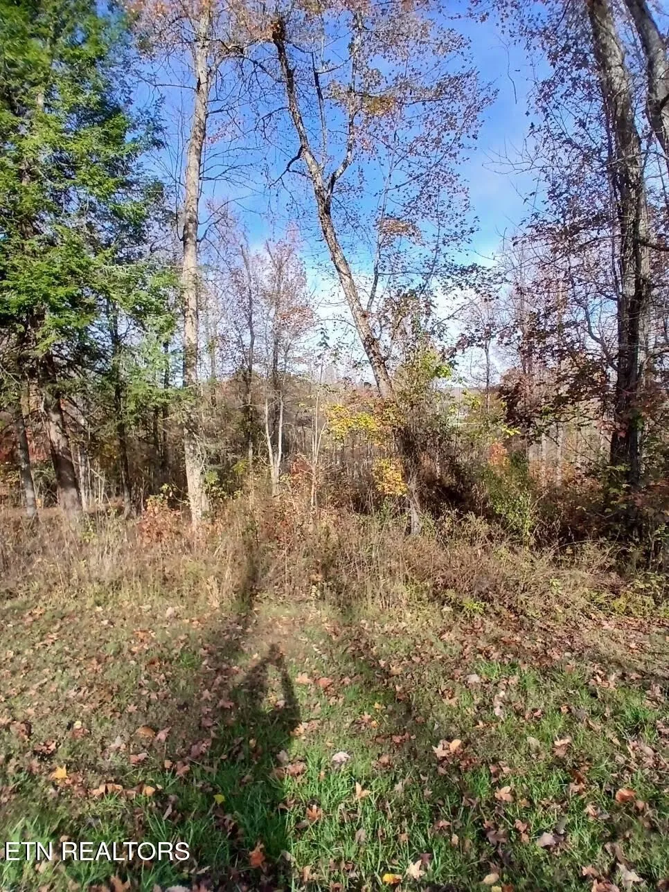 369 Walking Horse Tr Rockwood, TN 37854