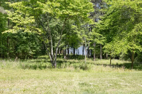 772 Wood Duck Drive