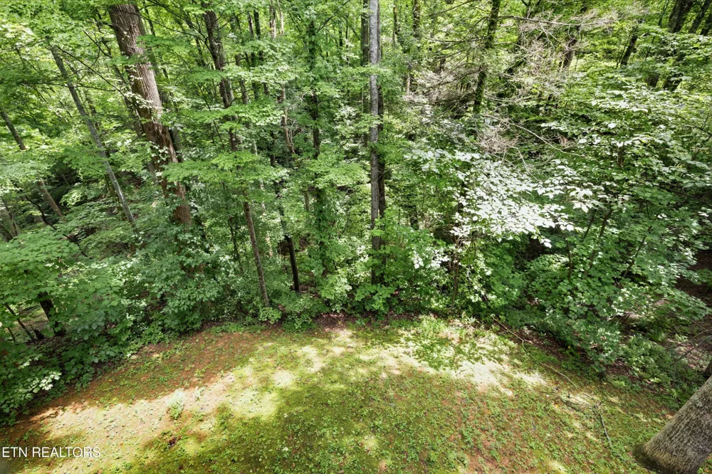 745 Hazy Circle Gatlinburg, TN 37738