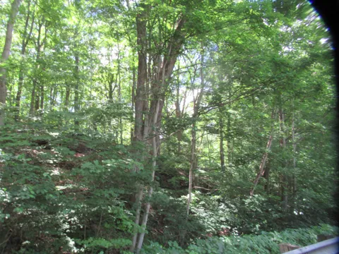 Red Bud Trail