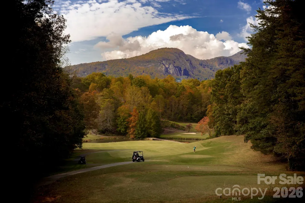 160 Whitney Boulevard #49 Lake Lure, NC 28746