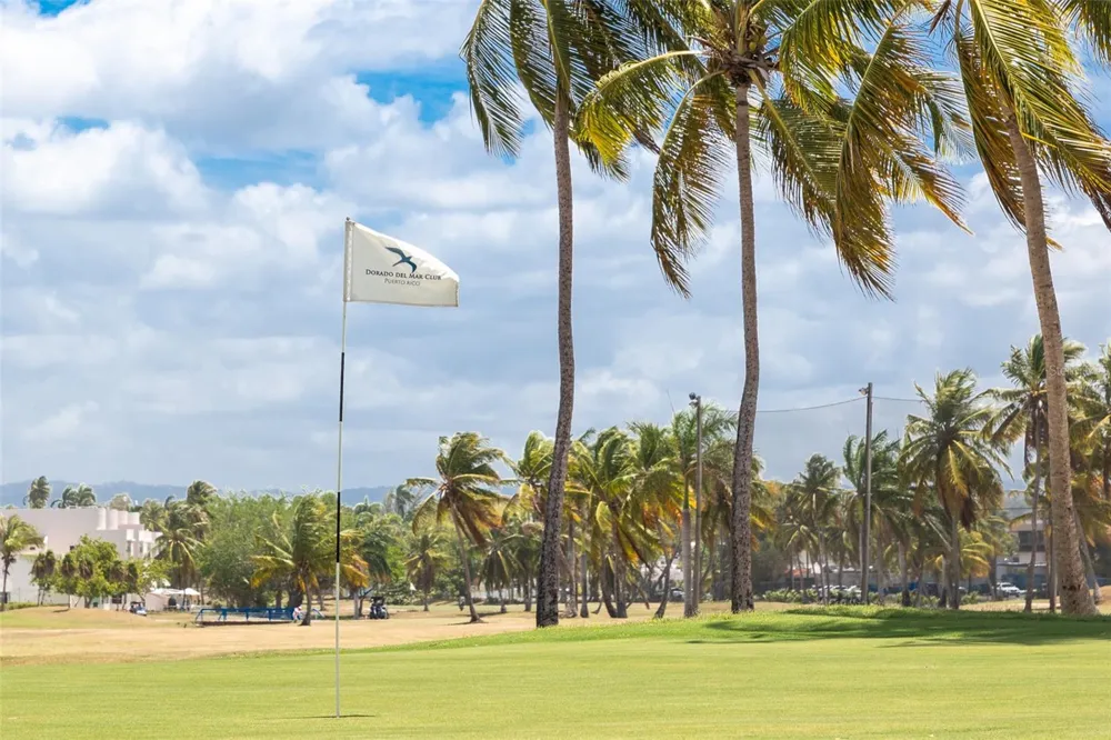 91 VILLAS DE GOLF EAST Dorado, PR 00646