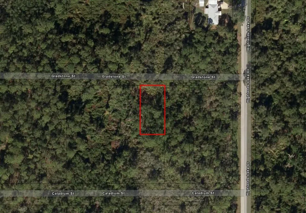 1521 Gladstone Street Lake Placid, FL 33852