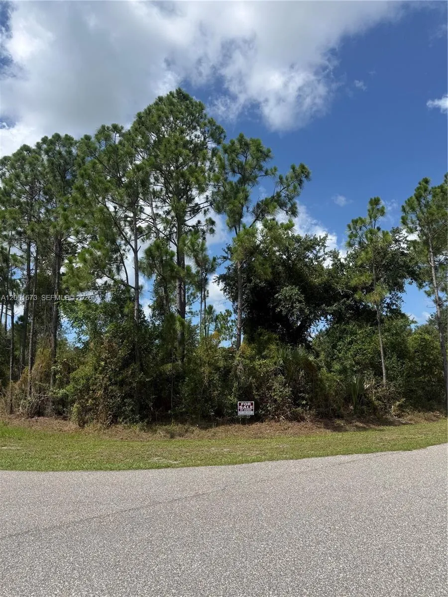 12193 MAYFAIR Port Charlotte, FL 33981