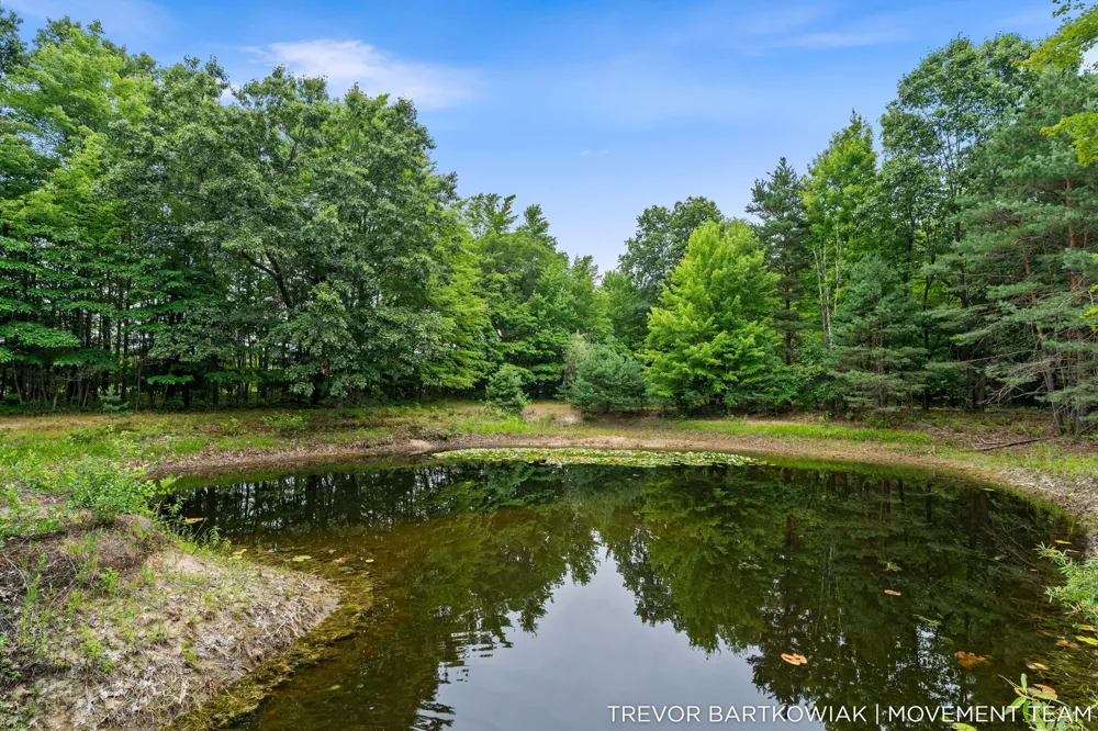 17708 120th Avenue Nunica, MI 49448