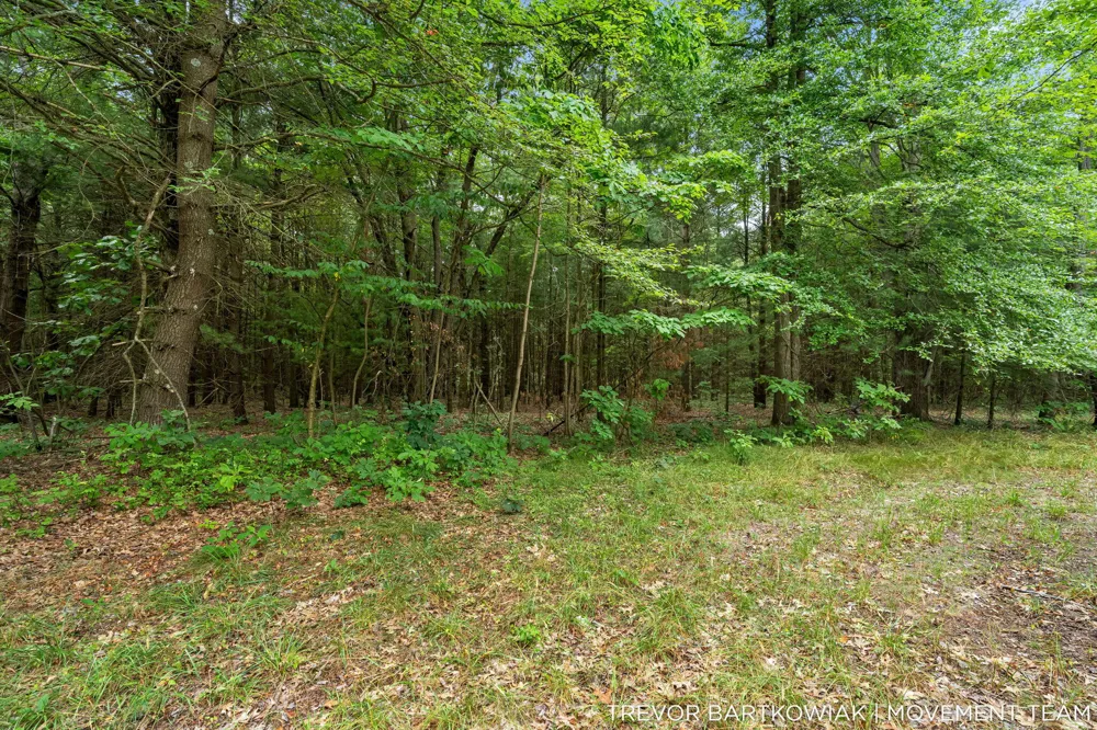 17708 120th Avenue Nunica, MI 49448