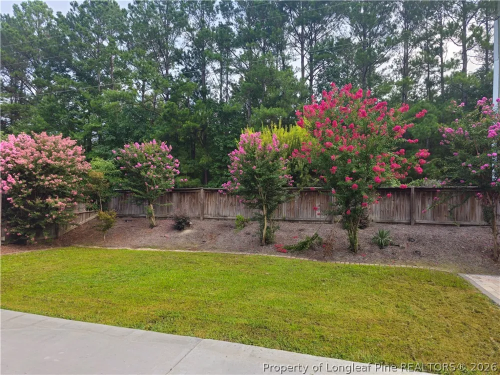 6028 Oak Spring Street Stedman, NC 28391