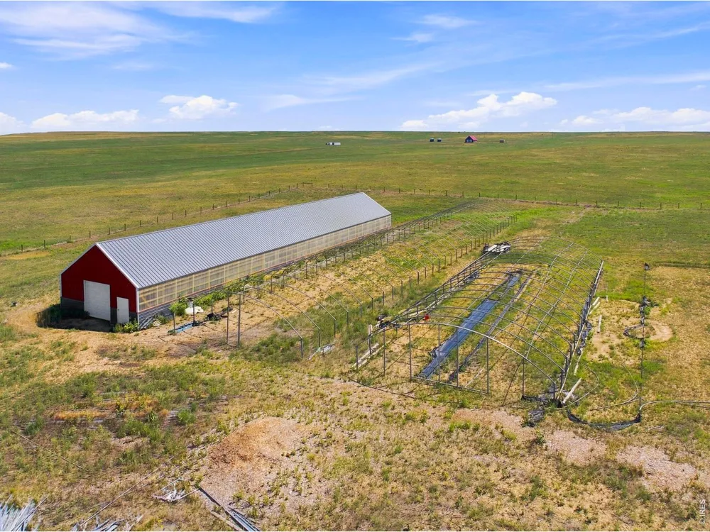 52990 County Road 17 Carr, CO 80612
