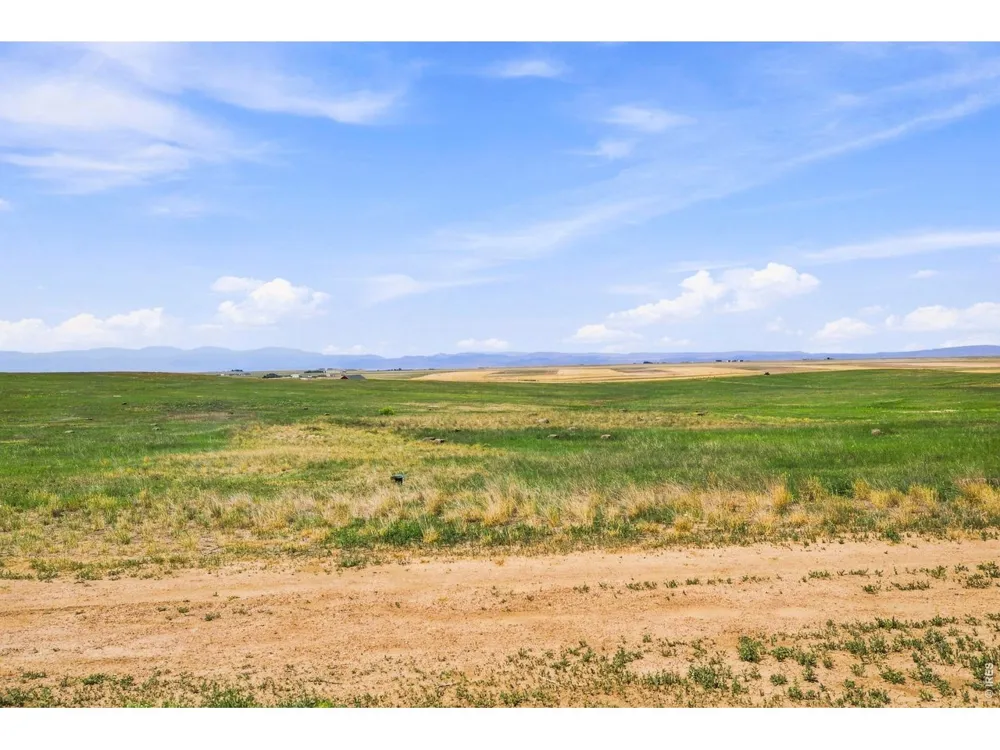 52990 County Road 17 Carr, CO 80612