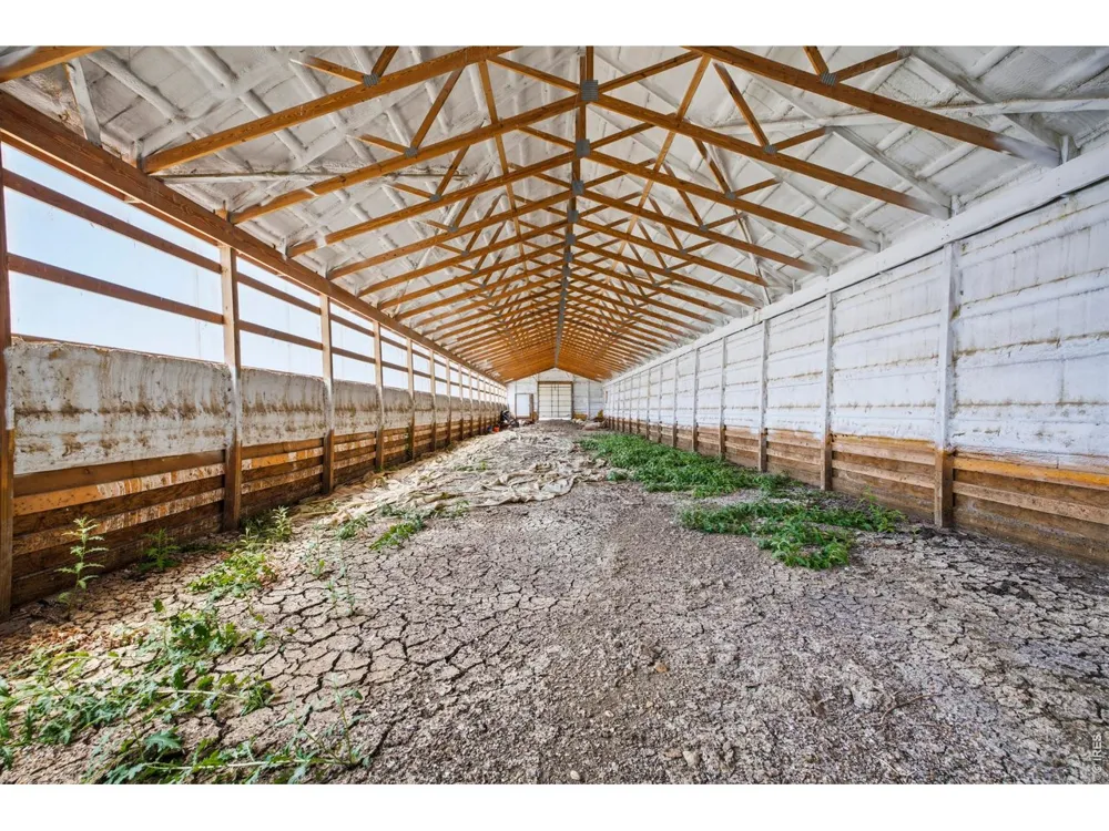 52990 County Road 17 Carr, CO 80612