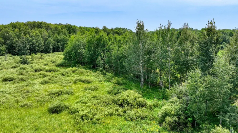 N1395 Grouse Road Sarona, WI 54870