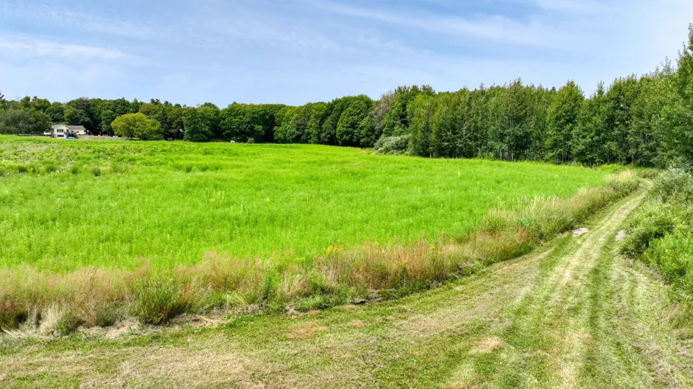 N1395 Grouse Road Sarona, WI 54870
