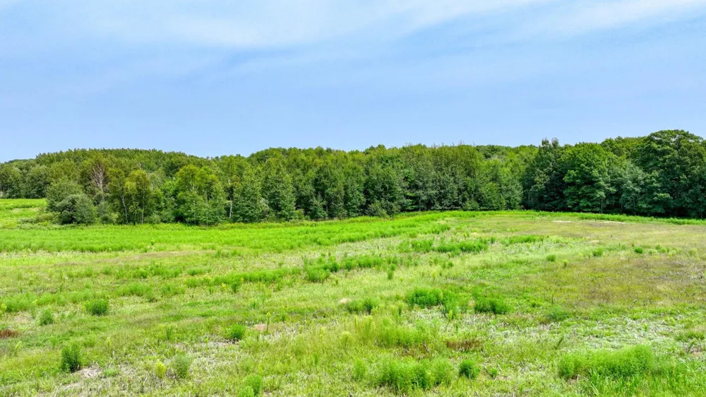 N1395 Grouse Road Sarona, WI 54870