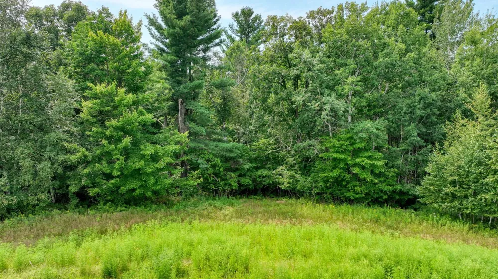 N1395 Grouse Road Sarona, WI 54870