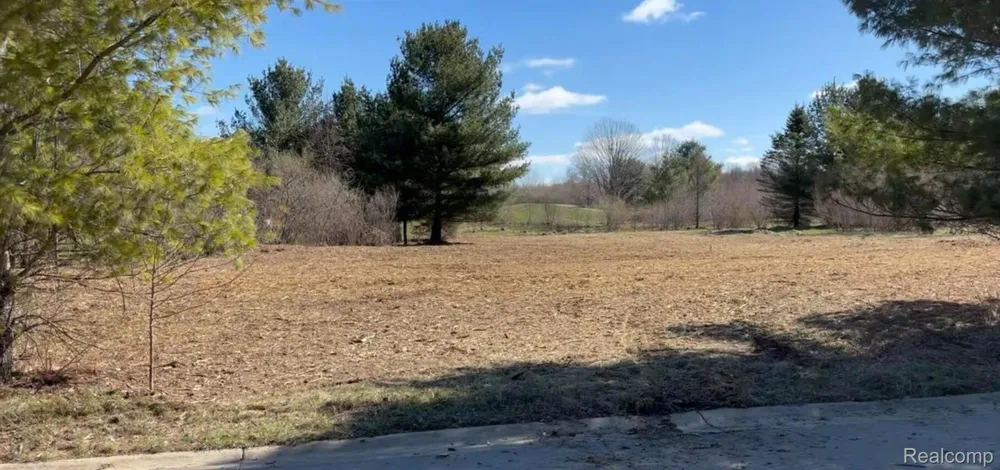 19529 Kluver Road New Buffalo Township, MI 49117
