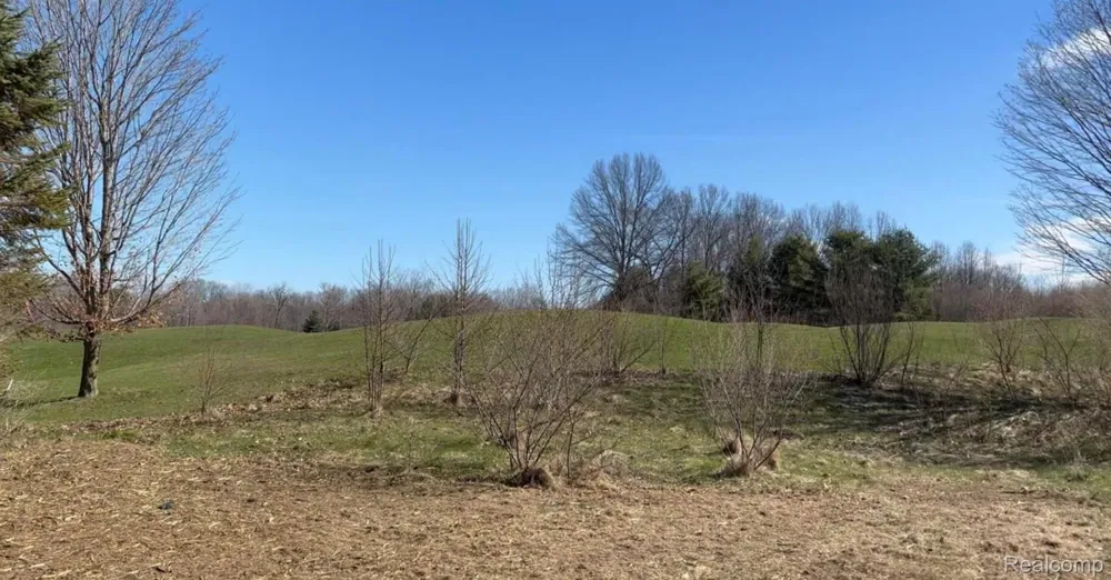 19529 Kluver Road New Buffalo Township, MI 49117