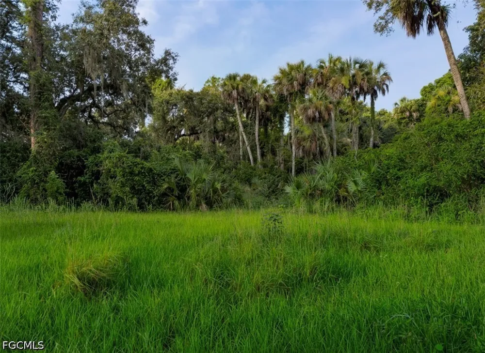 Fort Denaud Road Labelle, FL 33935