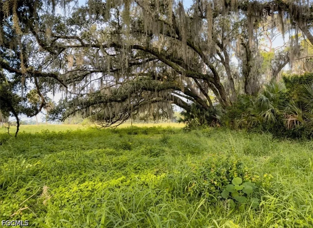 Fort Denaud Road Labelle, FL 33935
