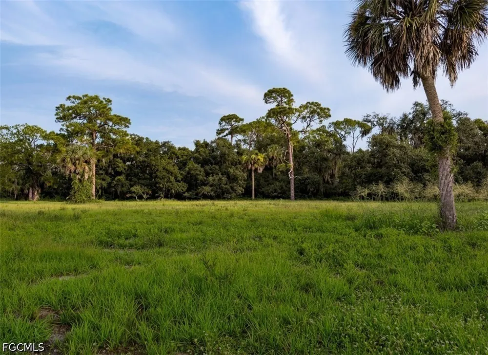Fort Denaud Road Labelle, FL 33935