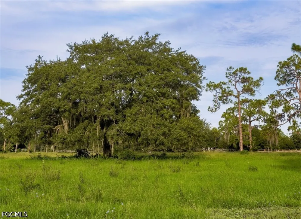 Fort Denaud Road Labelle, FL 33935