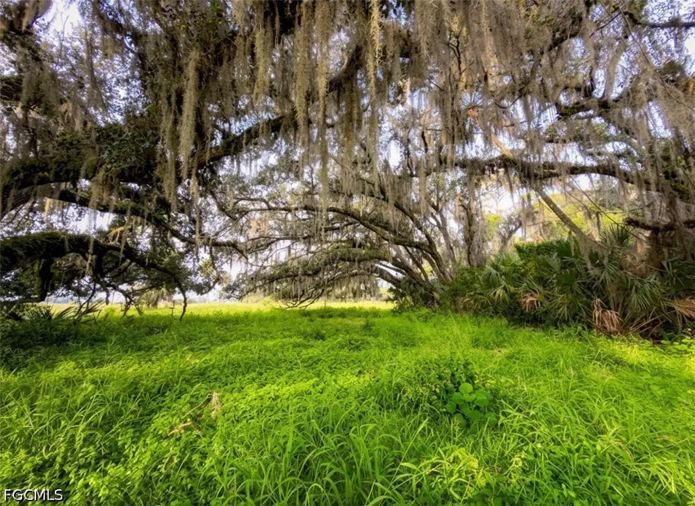 Fort Denaud Road Labelle, FL 33935