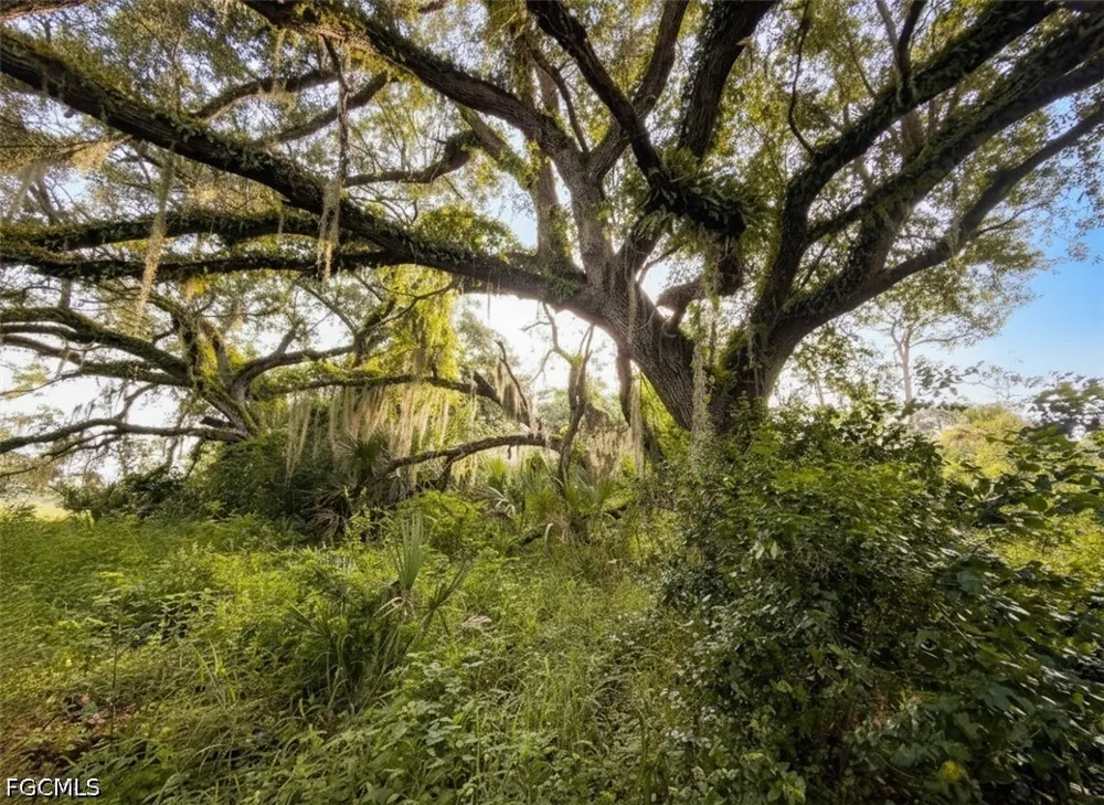 Fort Denaud Road Labelle, FL 33935