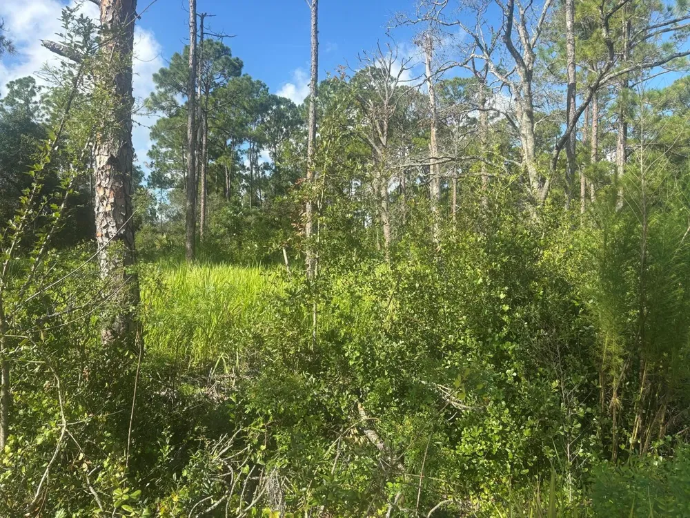 284 Rhapsody Avenue Lake Placid, FL 33852