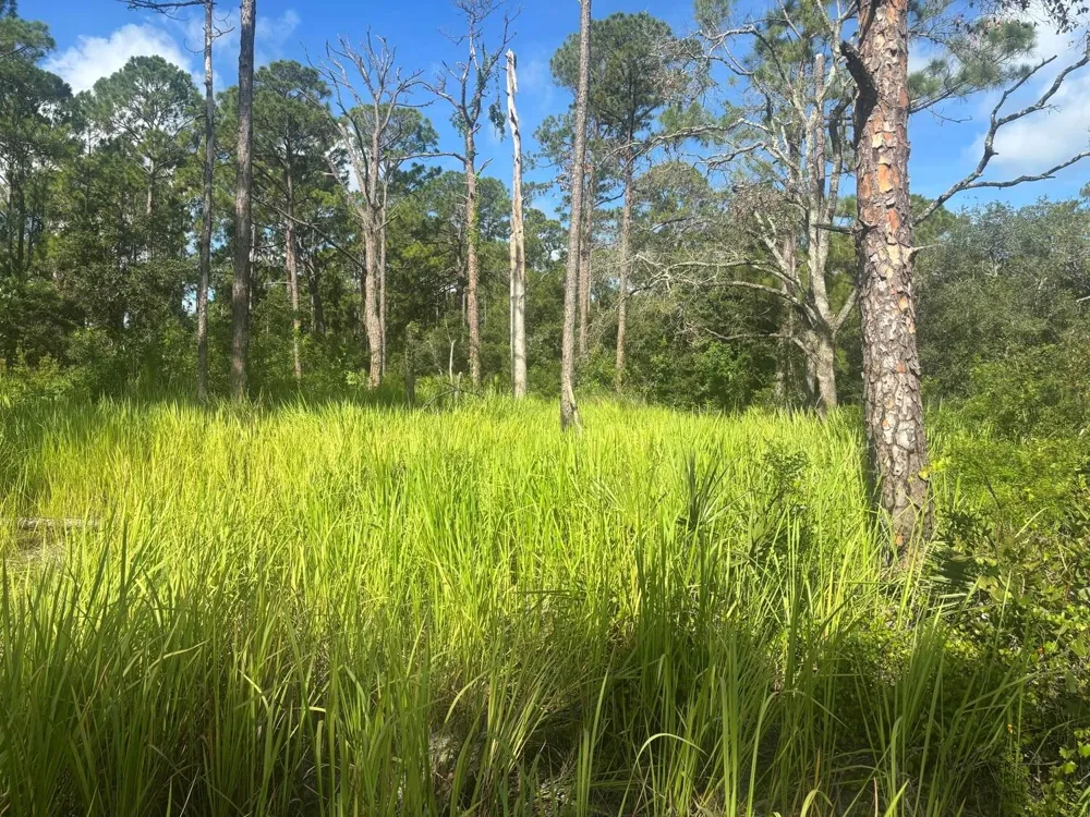 284 Rhapsody Avenue Lake Placid, FL 33852