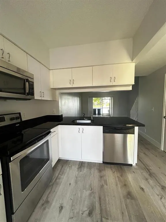 16637 HEMINGWAY DRIVE #16637 Weston, FL 33326