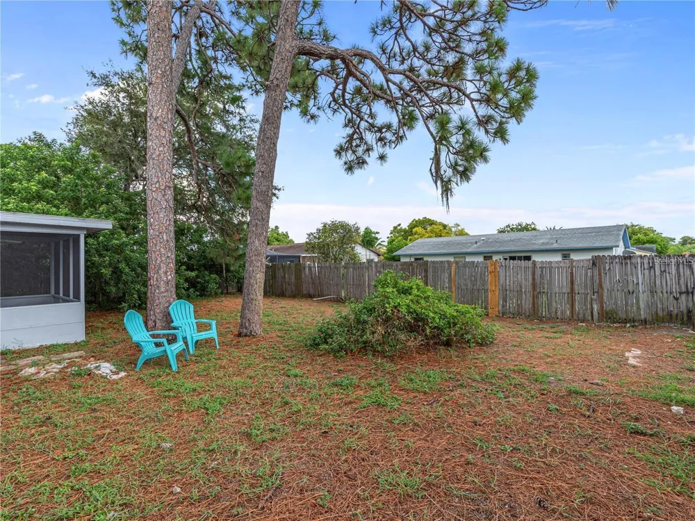 3124 LECANTO STREET Holiday, FL 34691