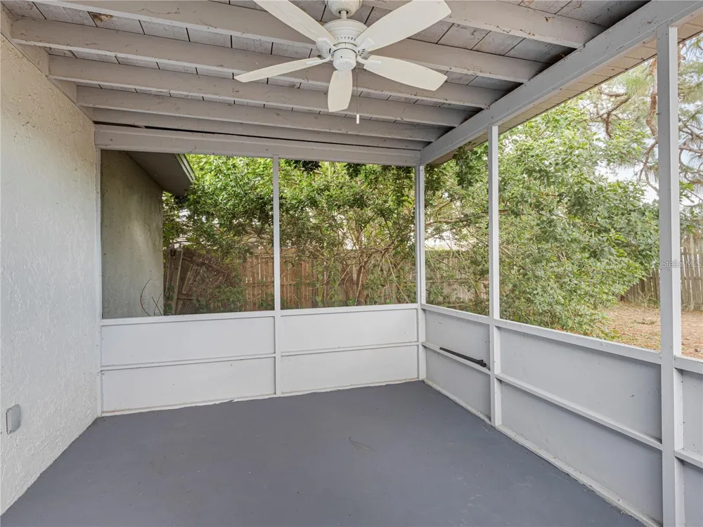 3124 LECANTO STREET Holiday, FL 34691