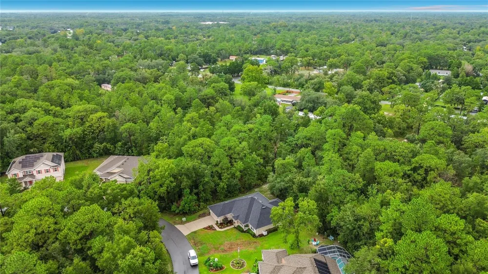 28 HOLLY COURT Homosassa, FL 34446