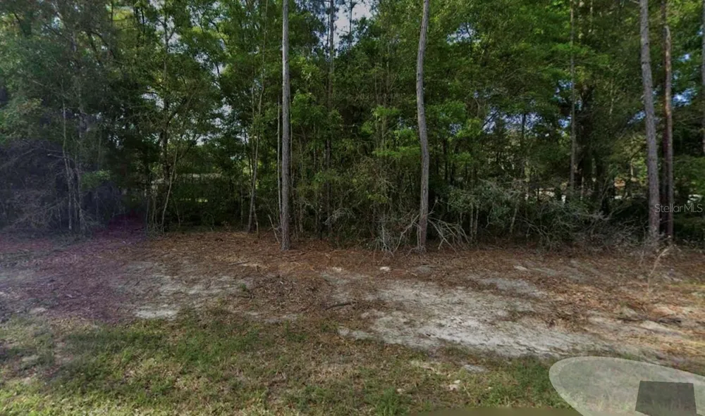 1616 W DATURA LANE Citrus Springs, FL 34434
