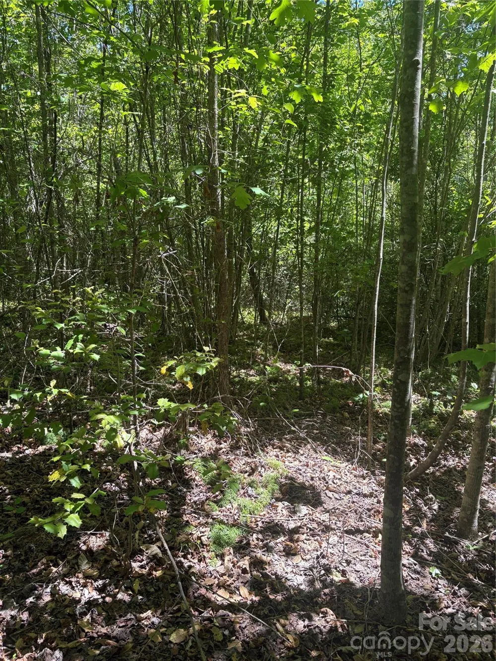 0 E Pine Hill Avenue Morganton, NC 28655