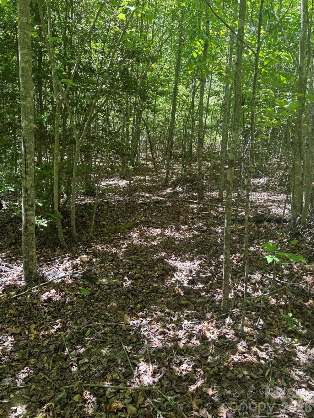 0 E Pine Hill Avenue Morganton, NC 28655