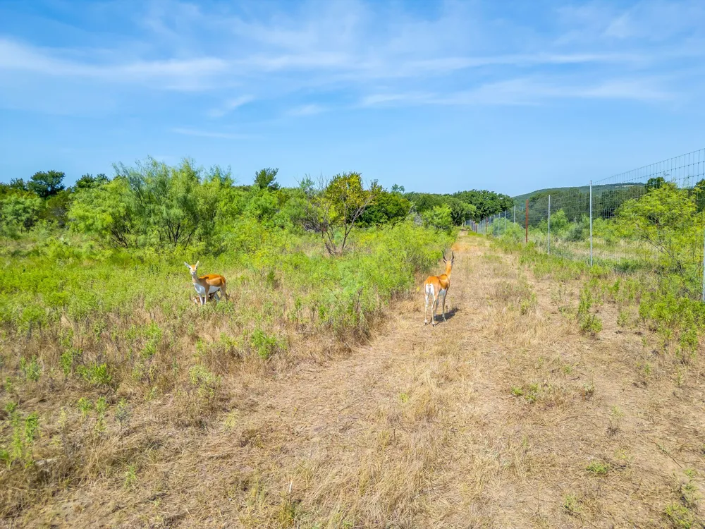 897 Wilson Palo Pinto, TX 76484
