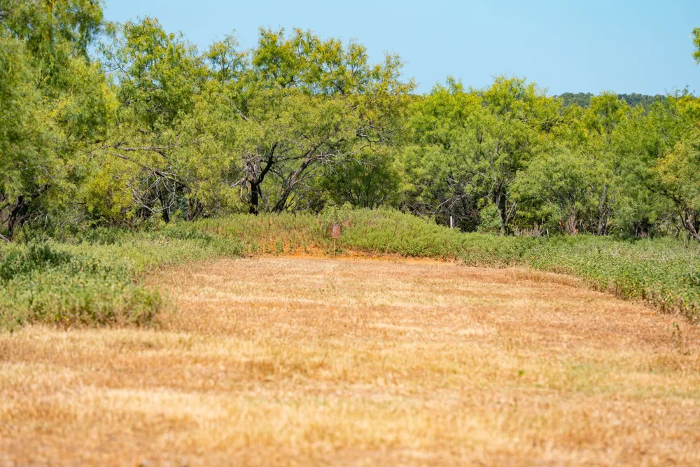 897 Wilson Palo Pinto, TX 76484