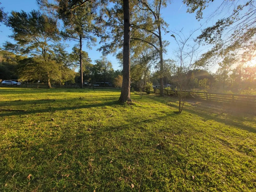 13310 13th Street Splendora, TX 77372