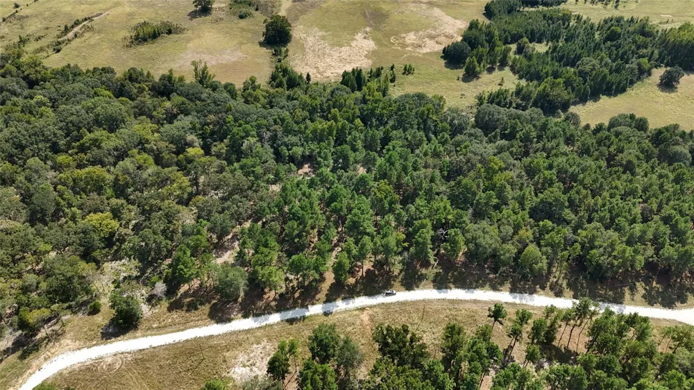 Cherokee Trail Lovelady, TX 77851
