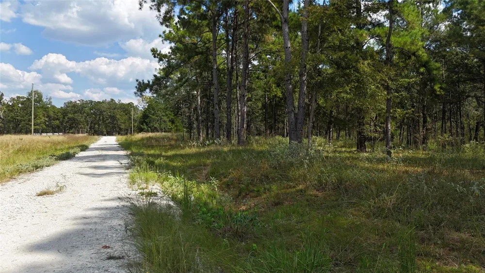 Cherokee Trail Lovelady, TX 77851