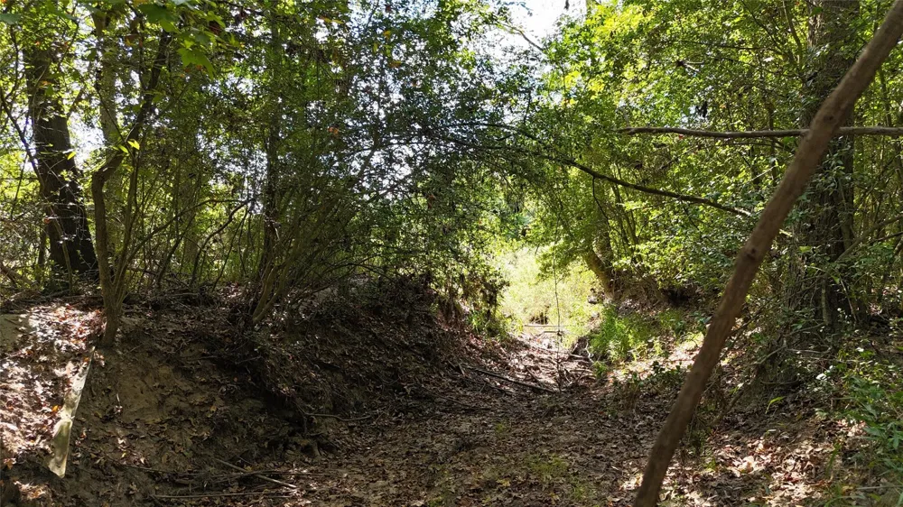 Cherokee Trail Lovelady, TX 77851