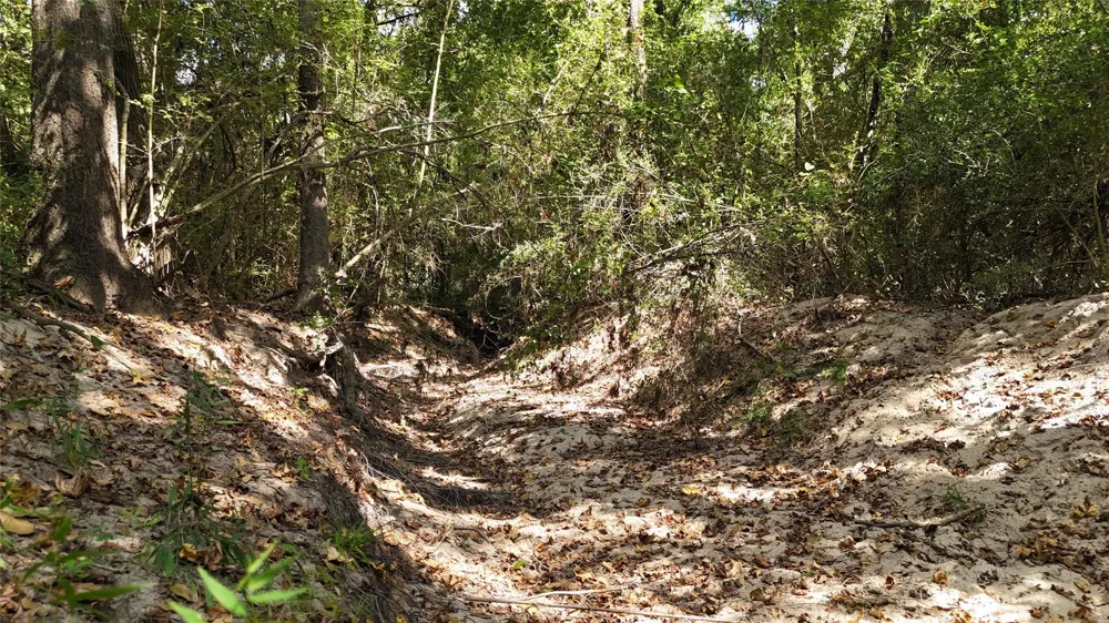 Cherokee Trail Lovelady, TX 77851